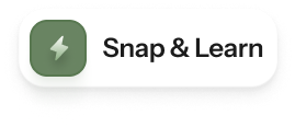 Snap & Learn